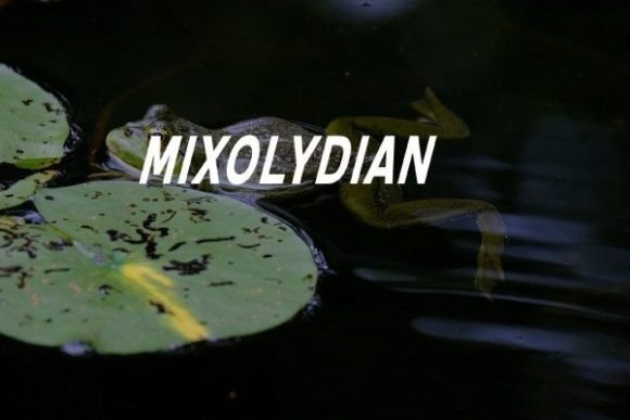 Mixolydian Font Review for Real Projects