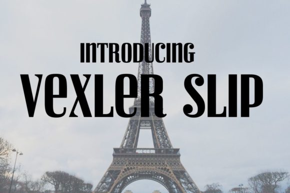 Vexler Slip for Professional Branding